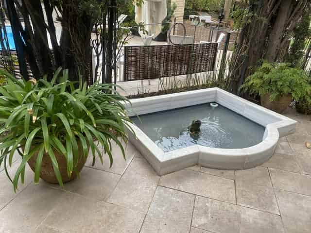 Hotel Mirlo