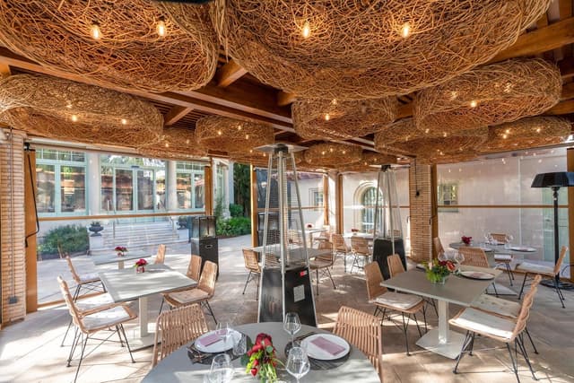 Hotel Mirlo