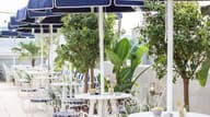 Outdoor Terraces