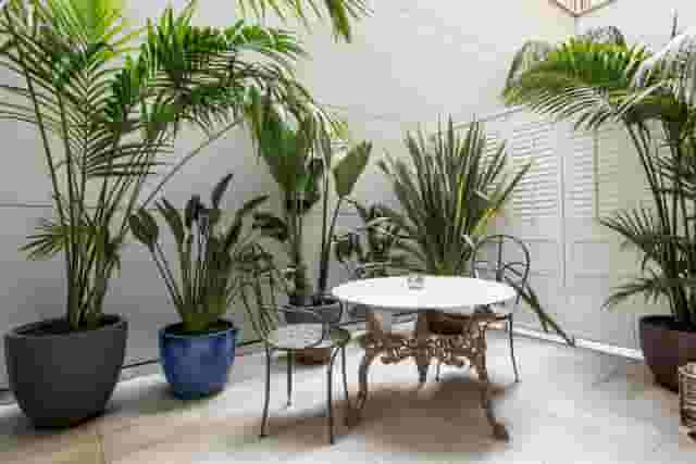 Rooftop terrace