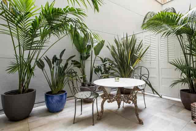 Hotel Midmost rooftop terrace with biophilic design for VIP consultation and corporate event space.