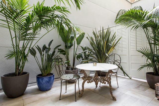 Hotel Midmost rooftop terrace with biophilic design for VIP consultation and corporate event space.