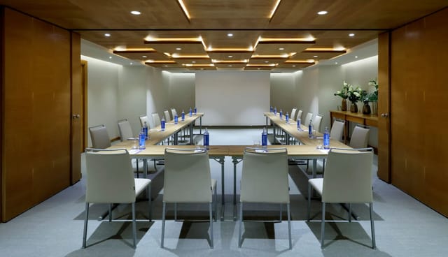 Modern meeting room at Hyatt Regency Hesperia Madrid, perfect for corporate workshops.