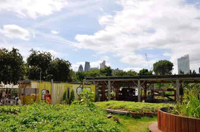 Rustic Farm at Botanical Boys: Urban escape venue for corporate retreats and team-building workshops.