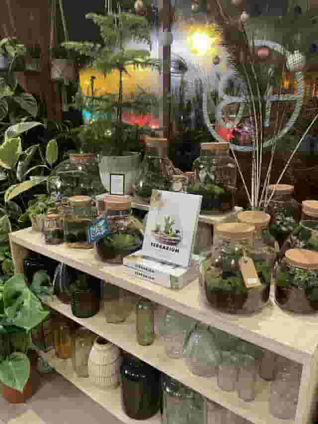 Botanical Boys