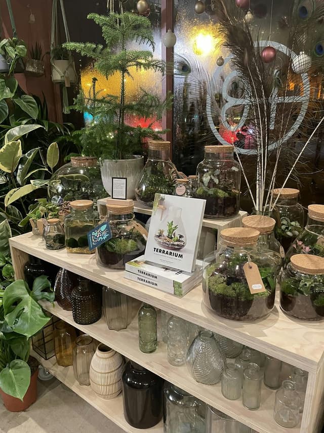 Botanical Boys