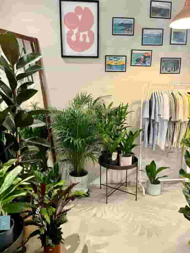 Botanical Boys