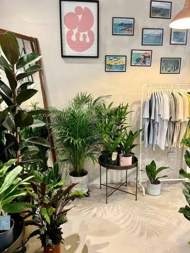 Botanical Boys