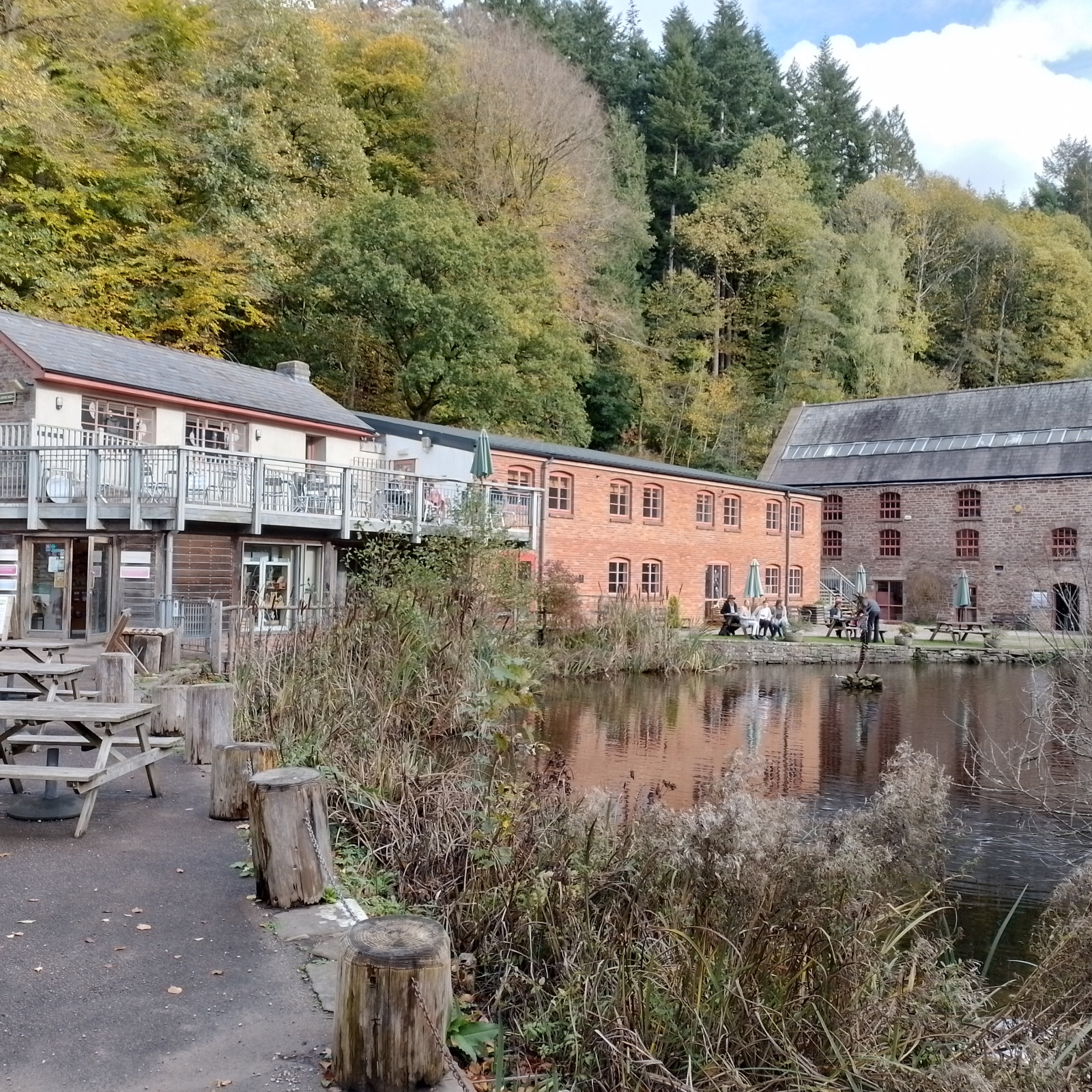 Soudley Ponds | Birdingplaces