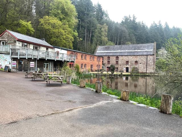 The Paddock