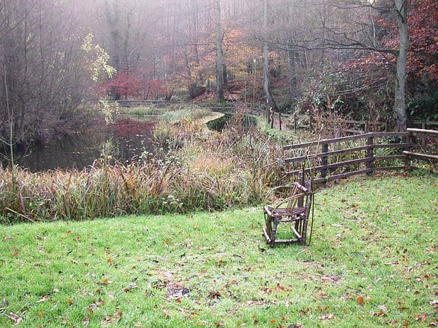 The Paddock