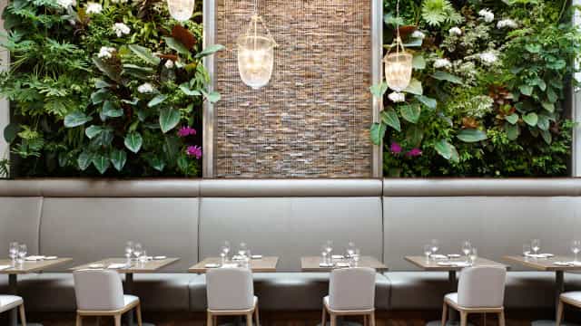 Biophilic patio dining at Sassafraz, perfect for sophisticated VIP dinners and breakout lunches.