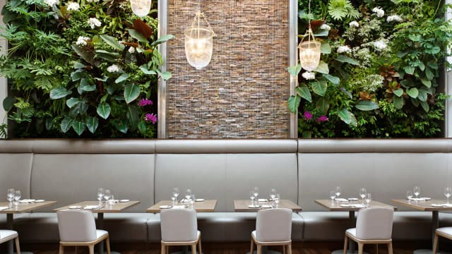 Sassafraz Restaurant - Toronto, ON |