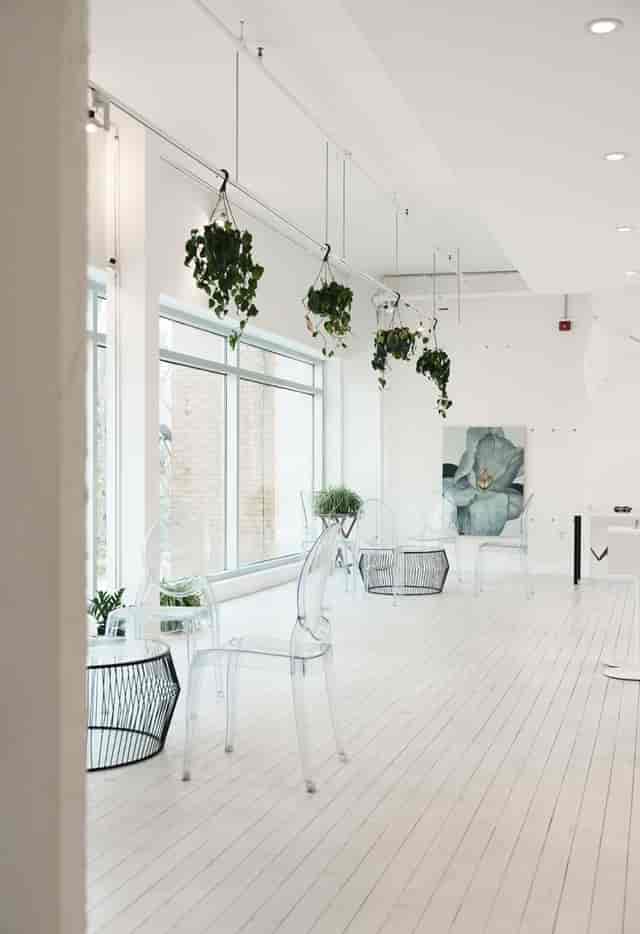Modern biophilic breakout space with ghost chairs for creative networking and corporate events.