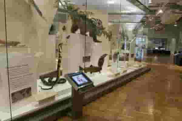 Schad Gallery of Biodiversity