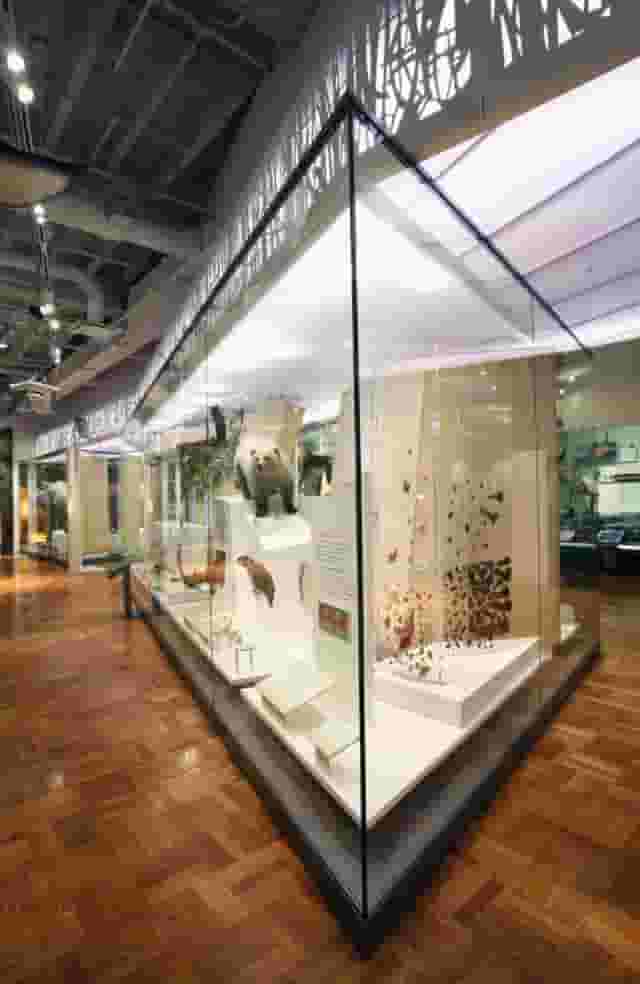 Schad Gallery of Biodiversity