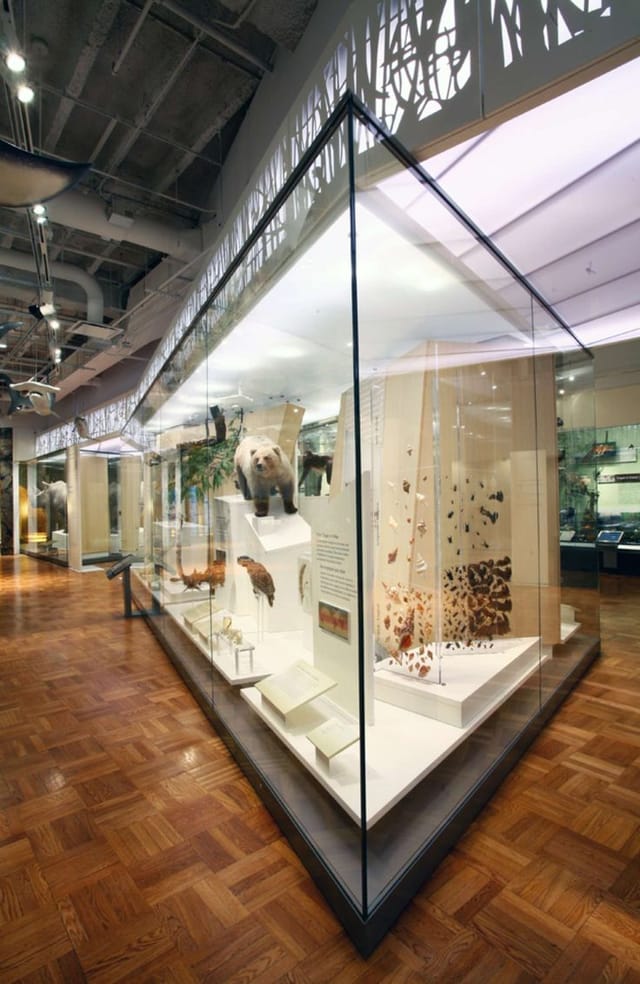 Schad Gallery at ROM: Unique glass displays for cocktail receptions and evening gala events.