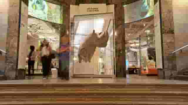 Schad Gallery of Biodiversity