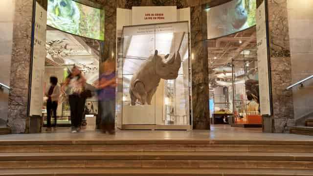 Schad Gallery of Biodiversity