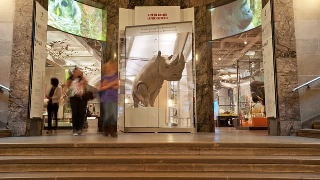 Schad Gallery of Biodiversity