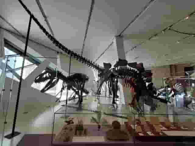 Galleries