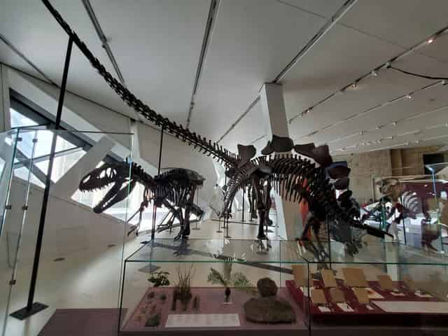 Galleries