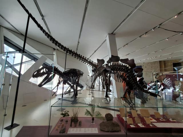 Galleries