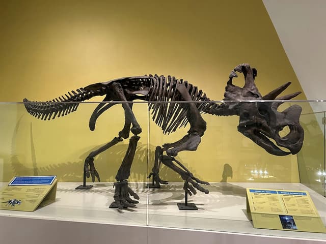 Galleries