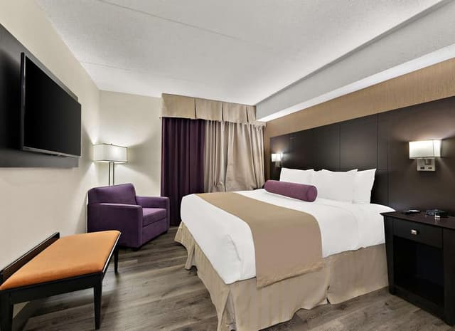 North York Room