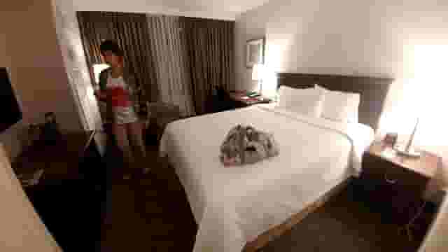 Gerrard Room