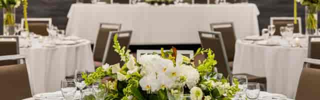 Elegant banquet room with white floral centerpieces for gala or wedding reception.
