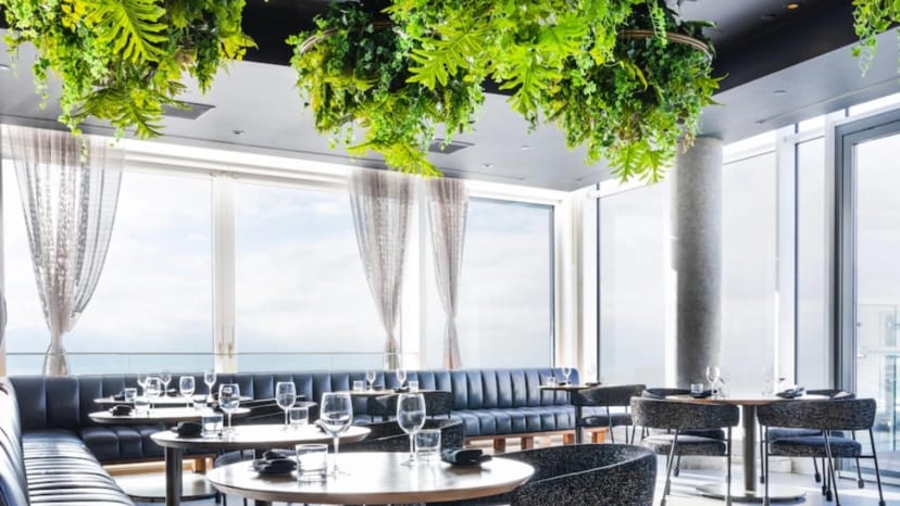 Valerie Toronto | Review, Info & Next Events | Nox