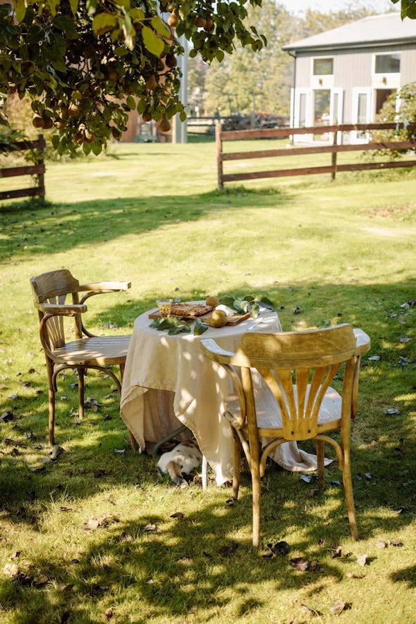 Table Champêtre