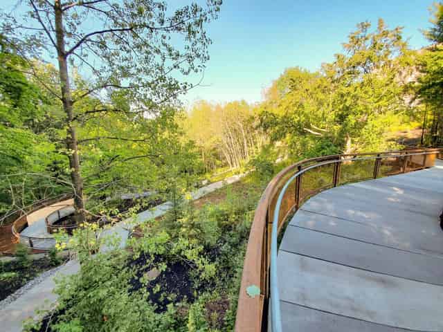 University of Toronto Scarborough