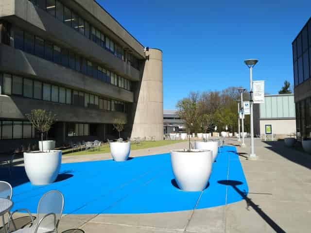University of Toronto Scarborough