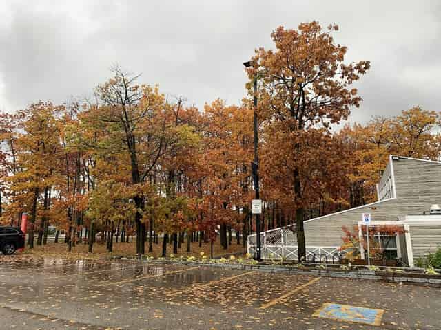 University of Toronto Scarborough
