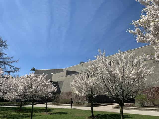 University of Toronto Scarborough