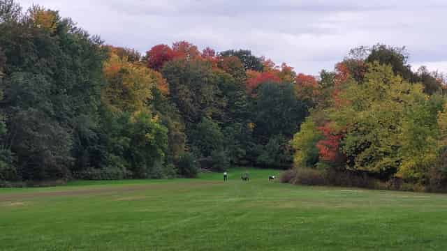 University of Toronto Scarborough