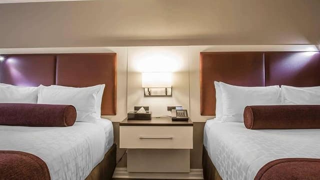 Suites
