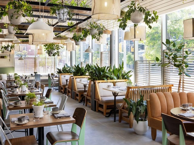 Biophilic dining room for corporate lunch and networking events.
