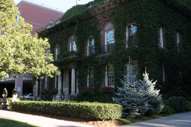 The Primrose Room