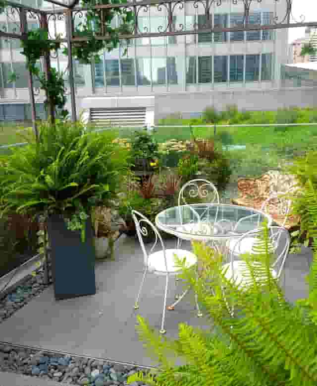 The Garden Suite