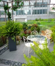 Christmas Party Venues