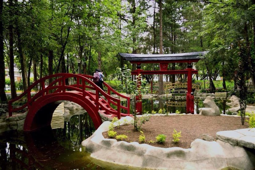 Jardín Mosada garden venue for tranquil outdoor wellness retreats and symbolic garden ceremonies.
