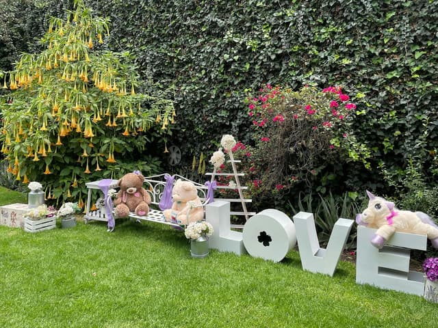 Children's Party Space