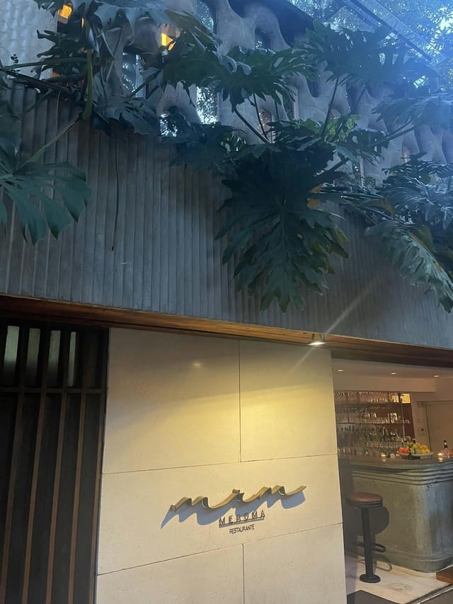 Upscale biophilic terrace entrance in Meroma CDMX, featuring wood paneling for cocktail receptions.