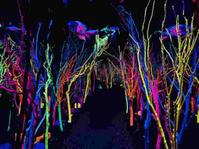 Exhibit