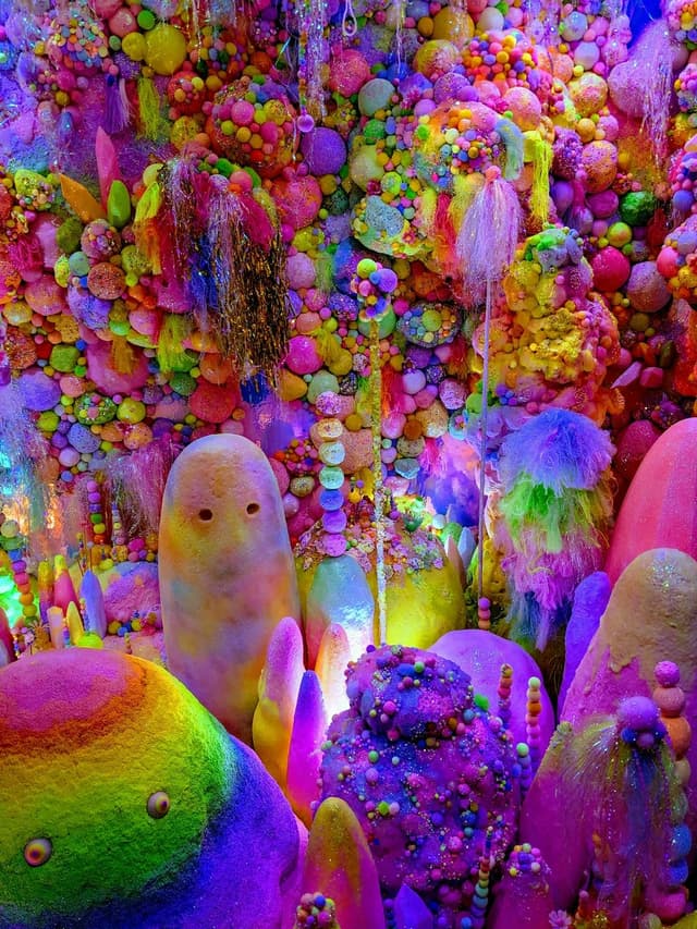 Rainbow Rainbow