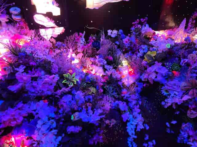 Meow Wolf Santa Fe - >Dürpy</a>
