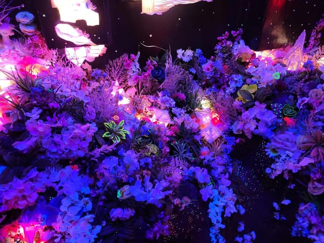 Meow Wolf Santa Fe - >Dürpy</a>